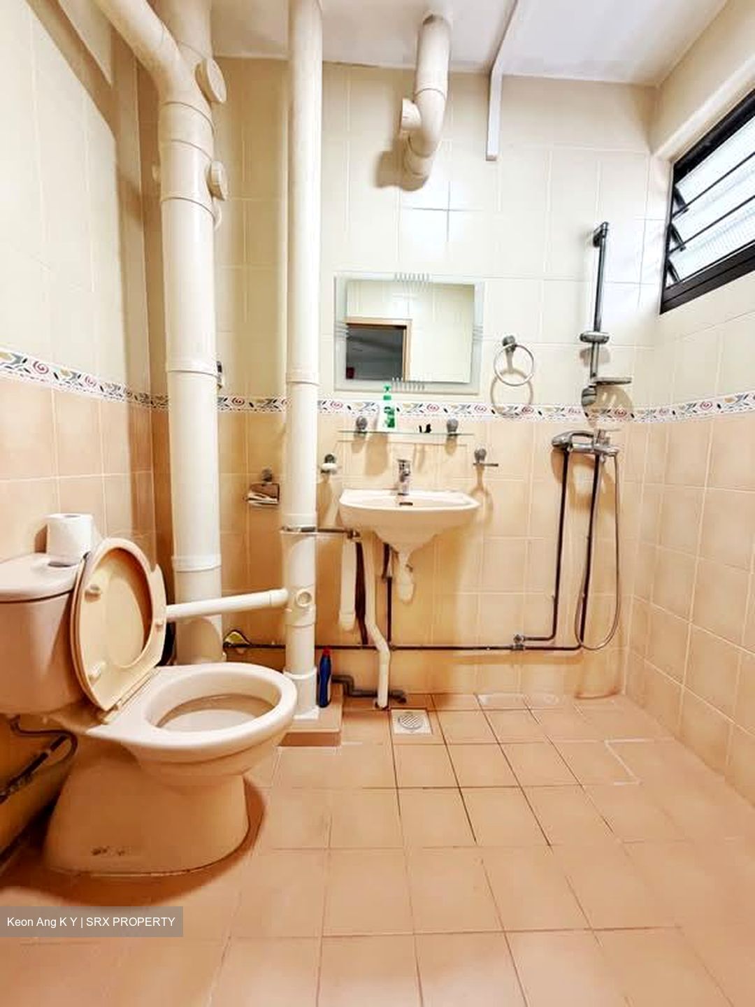 Blk 53 Geylang Bahru Riverpoint (Kallang/Whampoa), HDB 5 Rooms #586728511